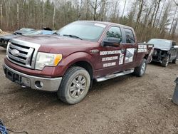 Ford f-150 salvage cars for sale: 2009 Ford F150 Supercrew