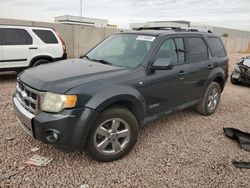 Ford Escape salvage cars for sale: 2008 Ford Escape Limited