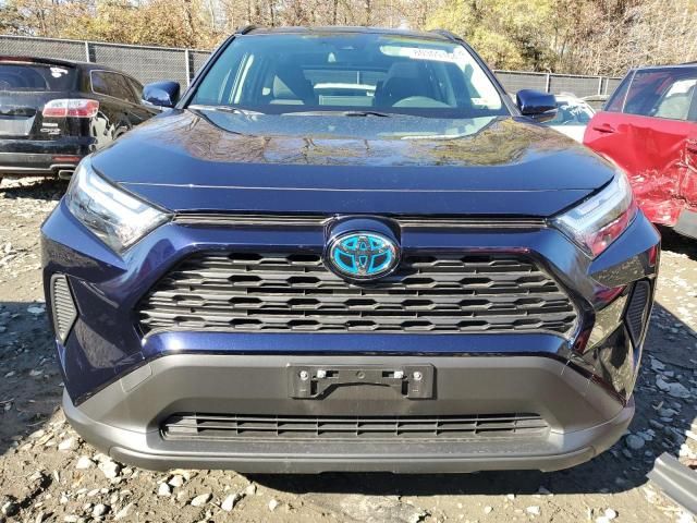 2024 Toyota Rav4 XLE