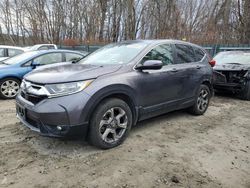 Honda Vehiculos salvage en venta: 2019 Honda CR-V EX