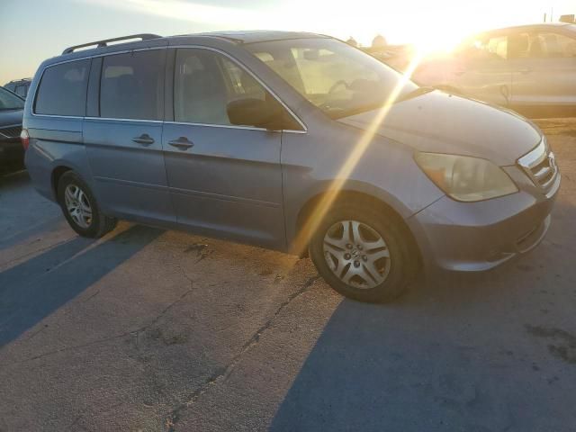 2005 Honda Odyssey EXL