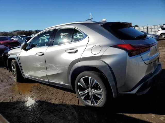 2019 Lexus UX 200