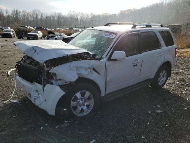 2011 Ford Escape Limited