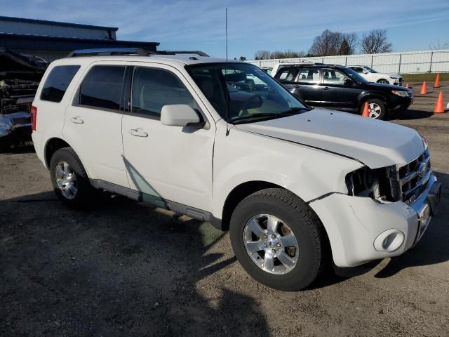 2011 Ford Escape Limited