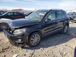 Volkswagen Tiguan salvage cars for sale: 2013 Volkswagen Tiguan S