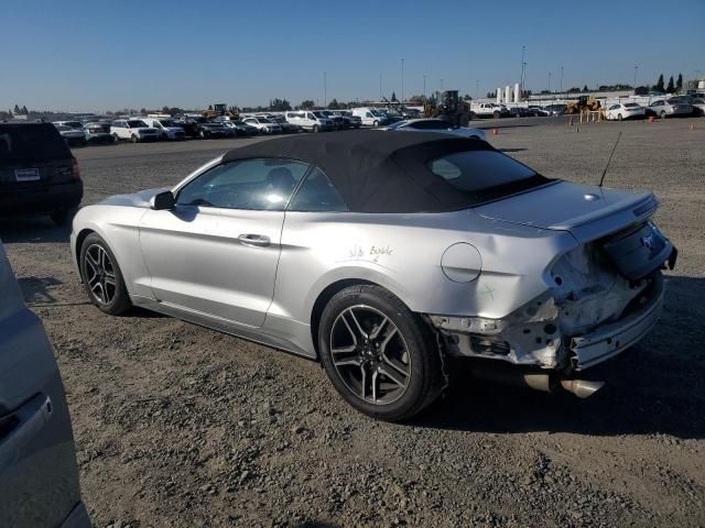 2019 Ford Mustang