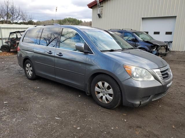 2010 Honda Odyssey EX