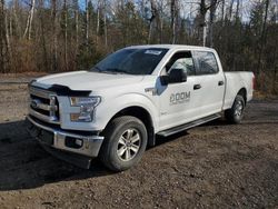 Ford salvage cars for sale: 2017 Ford F150 Supercrew