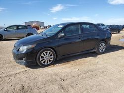 Toyota Corolla salvage cars for sale: 2009 Toyota Corolla Base