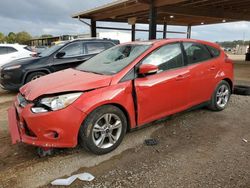 Ford Focus salvage cars for sale: 2014 Ford Focus SE