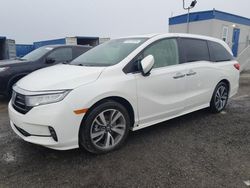 2023 Honda Odyssey Touring for sale in Arcadia, FL