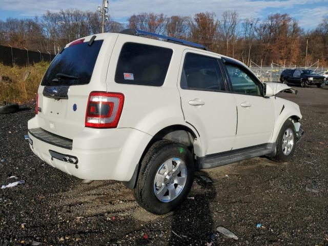 2011 Ford Escape Limited