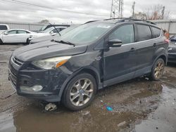 Ford Escape salvage cars for sale: 2013 Ford Escape SEL