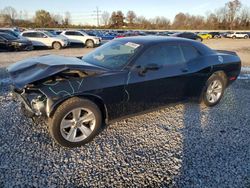 Dodge Challenger salvage cars for sale: 2018 Dodge Challenger SXT