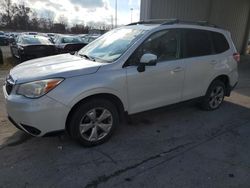 Subaru salvage cars for sale: 2014 Subaru Forester 2.5I Touring