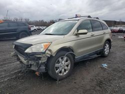 Honda salvage cars for sale: 2007 Honda CR-V EXL