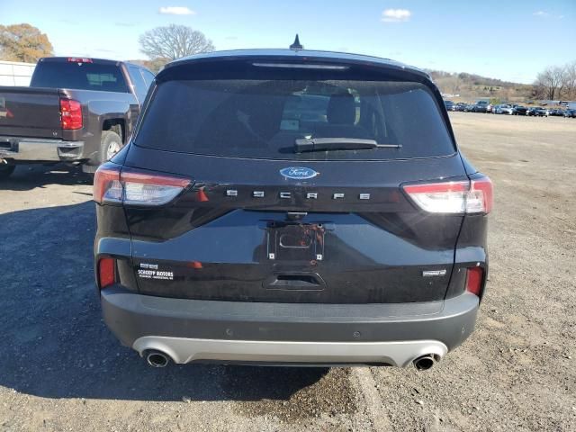 2020 Ford Escape SE Sport