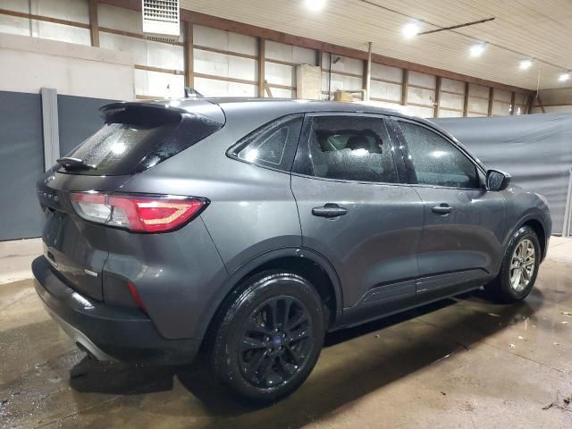 2020 Ford Escape S