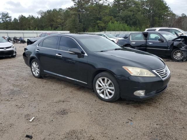 2010 Lexus ES 350