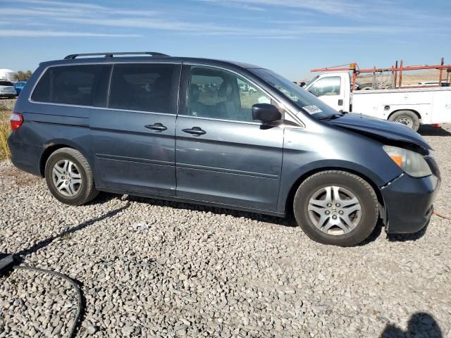 2005 Honda Odyssey EXL