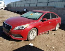 Hyundai Sonata salvage cars for sale: 2016 Hyundai Sonata Hybrid