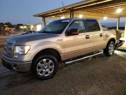 Ford f-150 salvage cars for sale: 2013 Ford F150 Supercrew