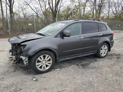 Subaru Tribeca salvage cars for sale: 2008 Subaru Tribeca Limited