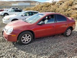 Dodge Neon salvage cars for sale: 2003 Dodge Neon SXT