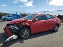 Toyota Corolla salvage cars for sale: 2014 Toyota Corolla L