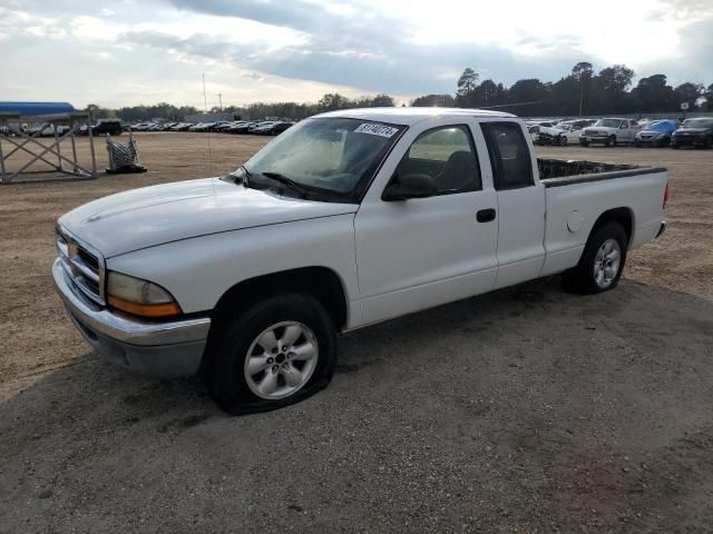 2004 Dodge Dakota SLT