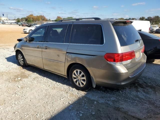 2009 Honda Odyssey EXL