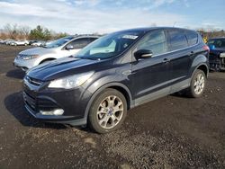 Ford Vehiculos salvage en venta: 2013 Ford Escape SEL