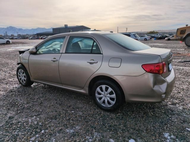 2010 Toyota Corolla Base