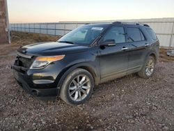 Ford salvage cars for sale: 2013 Ford Explorer XLT