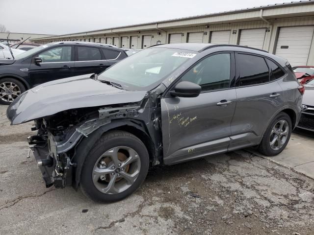 2023 Ford Escape ST Line