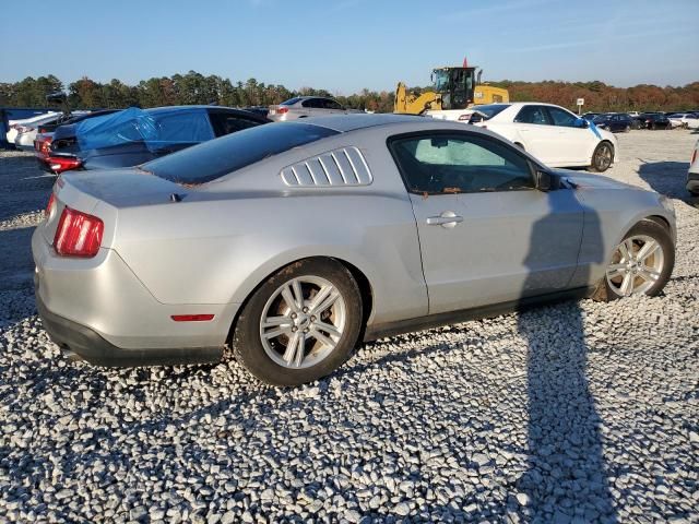 2010 Ford Mustang