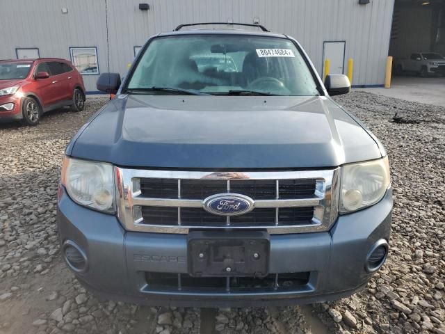 2010 Ford Escape XLS