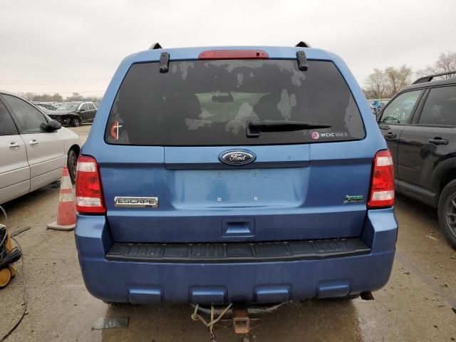 2010 Ford Escape XLT