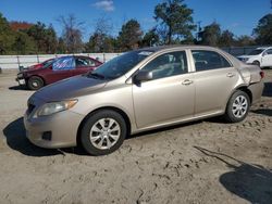 Toyota Corolla salvage cars for sale: 2009 Toyota Corolla Base