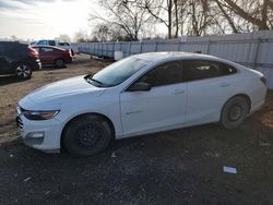 Chevrolet salvage cars for sale: 2019 Chevrolet Malibu LS