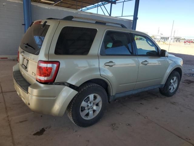 2011 Ford Escape Limited