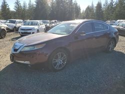 Acura tl salvage cars for sale: 2010 Acura TL