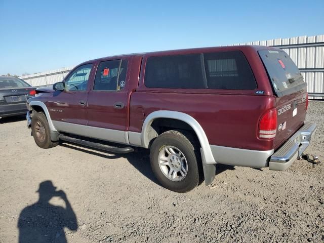 2001 Dodge Dakota Quattro