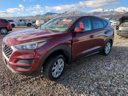 Hyundai Tucson salvage cars for sale: 2019 Hyundai Tucson SE