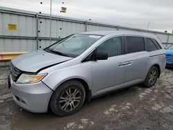 Honda Odyssey ex salvage cars for sale: 2013 Honda Odyssey EX