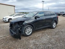 KIA Sorento salvage cars for sale: 2019 KIA Sorento L