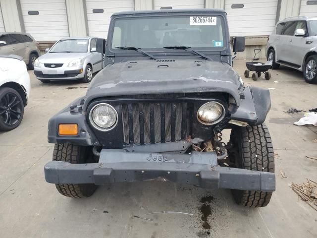 2002 Jeep Wrangler / TJ SE