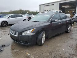 Nissan Maxima salvage cars for sale: 2013 Nissan Maxima S