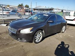 Nissan Maxima salvage cars for sale: 2012 Nissan Maxima S