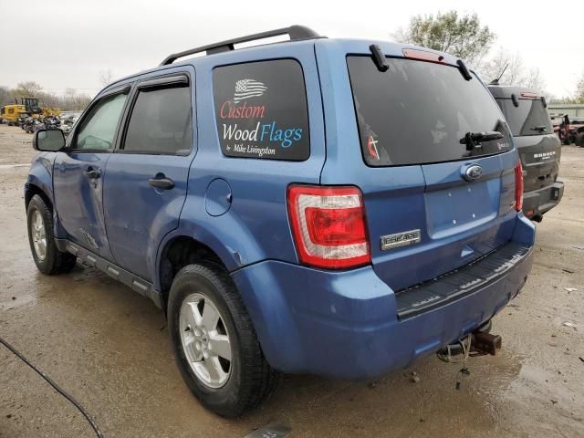 2010 Ford Escape XLT